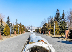 В Камышине начали проветривать зимние укрытия для розариев в парке Победы