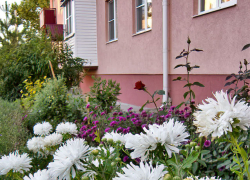 Кому коммунальщики предложили посидеть без света в Камышине 26 сентября