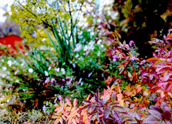 В Камышине синоптики "видят" дождь сегодня, 29 октября