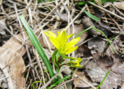 Теплые дни с освежающим ветерком: погода в Камышине в конце марта