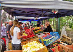 Больше 800 тысяч рублей похитили мошенники у молодой камышанки