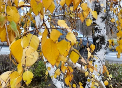 Дождь и ветер, но тепло: погодная повестка для камышан на 22 ноября