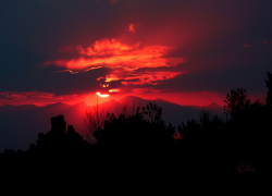 Похоже, что на одном из предприятий Камышина убили 55-летнего рабочего