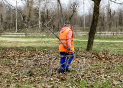 В Камышине общегородской субботник назначили на 12 апреля