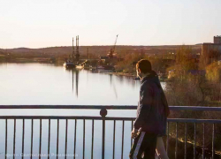 Субъектами мошеннических схем в Камышине становятся лодочные моторы, запчасти к автомобилям, кровати, щенки