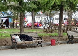 Камышане проверили, позволяет ли погода прилечь на "тихий час" на центральной улице города