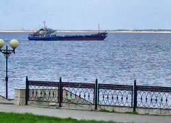 Солнечно и тихо: погода в Камышине 25 апреля