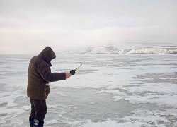 Серый день с небольшим морозом: погода в Камышине на 4 февраля