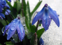 Тройной уровень опасности объявили по Волгоградской области синоптики: на регион идут снег и грозы 