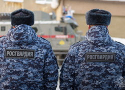 В Камышине росгвардейцы задержали молодого, но дерзкого серийного вора