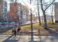 Посадите в Камышине больше берез! - камышанин