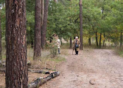 В Камышине 5 октября подтверждены 20 новых положительных диагнозов коронавируса 