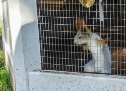 Что Камышин сумел приобрести за год для парков: до сезона отдыха в них уже пошел "обратный отсчет"