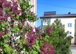 Администрация Камышина перед праздниками вновь охватила горожан "методичкой" по сбору крупногабаритных отходов