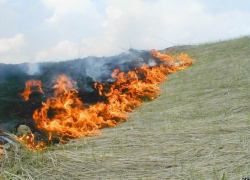 Под Камышином возгорание сухой травы на трех гектарах напоминало ландшафтный пожар