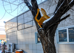 Кто додумался "кладовку" на дереве устроить в Камышине в центре города?" - камышанка