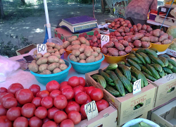 Известный волгоградский фермер назвал причину завышенных цен на овощи в нашем регионе