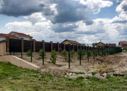 Около "вип-домов" на набережной в Камышине проводится "вип-озеленение"? - камышанин