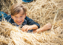 Полицейские среди ночи по тревоге отправились на поиски пропавшего 6-летнего малыша и под утро нашли его спящим в стоге сена