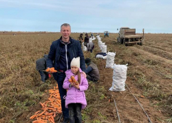 Депутат камышан в Госдуме Алексей Волоцов выехал в морковное поле, чтобы удивиться росту цен на овощи