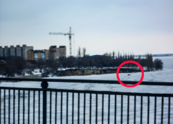 Несмотря на потепление камышане рискованно пересекают Камышинку  по льду на автомобилях