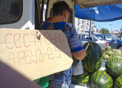 На камышинских рынках появились местные арбузы, но цена пока "кусается"