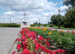 Солнечно и свежо: синоптики рассказали об отличной погоде в Камышине 29 августа