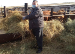 В камышинскую Таловку завезли лимузины - нет, это не брендовые авто, но, возможно, еще более шикарные экземпляры