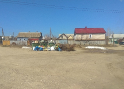 У регионального оператора по вывозу мусора в Волгограде нет денег, заявила замруководителя аппарата губернатора, - "Блокнот Волгограда"