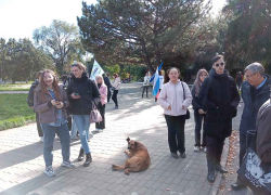 Жителям Волгоградской области запретили кормить собак у подъездов, в парках, на рынках и в других общественных местах