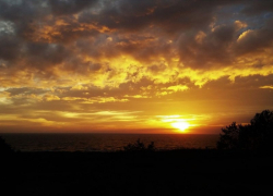 В Камышине у многоэтажки обнаружен труп с пробитой головой