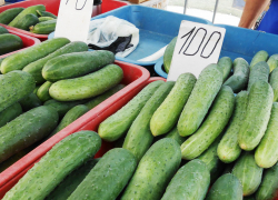 Статистики подсчитали, что в Волгоградской области подешевели яйца и "нелогично" подорожали огурцы