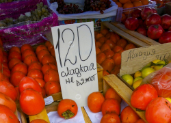 В Камышине подешевели хурма и мандарины (ВИДЕО)