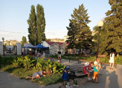 "Город помойка - администрация за порядком не следит", - камышанин