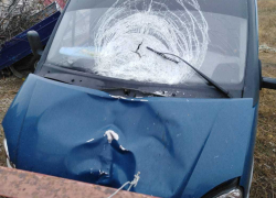 Все карты раскрылись: водитель, который сбил и оставил умирать камышанку на дороге вместе с  родственниками прятался в  лесу