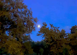 Планеты выйдут на парад перед жителями Волгоградской области рано утром 28 августа