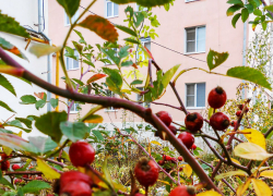 В пятницу 21 ноября камышинские коммунальщики решили "обойтись" небольшими отключениями