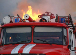 В Камышинском районе начал гореть придорожный мусор