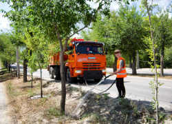 В Камышине службы благоустройства поливают деревья, которые в жару растут, как в пустыне