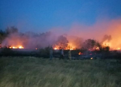 У камышинских сел полыхает степь
