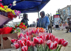 Рекордно аномального тепла под +15, +20 ждут в Волгоградской области