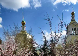 Стало известно о проведении служб в двух храмах Камышина владыкой Феодором