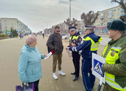 В Камышине сотрудники Госавтоинспекции вышли на центральные улицы города вживую проинструктировать пешеходов