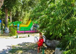 Глава Камышина Станислав Зинченко решил добавить горожанам кафе на будущее лето