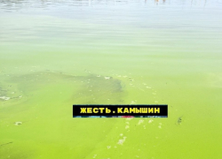 В Михайловке власти закрыли купальный сезон, а в Камышине он может и сам закрыться из-за цветущих рек