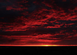 "Тойота" женщины-водителя в темноте на трассе раздавила насмерть женщину-пешехода