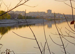 В Камышине на рыбалке мужчине проломили череп