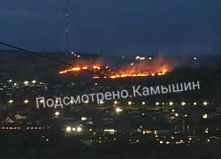 В Камышине очевидцы сняли ландшафтный пожар на подступах к телевышке