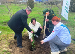 Зачем чиновники и депутаты Камышина отправились в парк с лопатой?