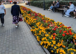 В Камышине явка в первый день голосования превысила среднеобластной показатель